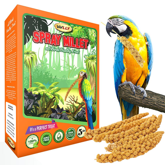 Vivlly 5LBS GMO-Free Sun Dried Spray Millet - Original Bird Treat Millet for Parakeets, Cockatiels, Finches & More - Non-GMO, High in Amino Acids, Easy Storage, Tasty & Healthy Bird Snacks (5 lbs)