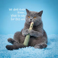 LIT LABS Cat Doobie 3 Pack Catnip Toys for Cats, Funny Cat Toys, Safe Kitten Teething Chew and Kicker Toys, Stress-Relie