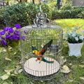 Gravel Paper for Bird Cage,BirdCage Liner Papers Cuttable Gravel Liner Sea Sand Paper Pet Animal Cages Cushion Great for