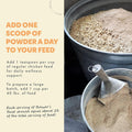 Fresh Eggs Daily Brewers Yeast Powder with Garlic & Niacin for Chicken & Duck Backyard Flocks - Suitable for Young Chicks & Ducklings - Supports Healthy Bone Development, Digestion & Immunity - 1lb