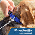 GoTags Personalized Dog Collar, Custom Embroidered Pet ID Dog Collar with Pet Name and Phone Number, Adjustable with Qui