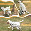 PETTOM Heavy Duty 2 Way Dog Lead Metal Chain Double Pet Clip Leash Coupler 360° Swivel No Tangle Double Dog Walking & Tr