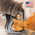 Neater Feeder Express Mess Proof Cat Bowls Elevated, No Spill Feeding Station, Stainless Steel Dishes for Food and Water, Raised Bowls for Indoor Cats, No Fatigue Whisker Friendly Dish, Grey