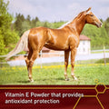 Pro E-5000 Premium Horse Vitamin E Powder, Antioxidant Support with Yeast & Alfalfa for Palatability, Equine Vitamin E S