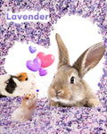 BUCATSTATE Hamster Bedding 15L, 99% Dust-Free Paper Bedding, Lavender