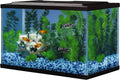 Tetra 5.5 Gallon Glass Aquarium, Rectangular Fish Tank