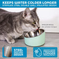Master Pet Supply Stainless Steel Slanted Dog Cat Food Bowl - 16 oz Heavy Duty - Stainless Steel, Double Wall Insulated, Non-Slip Elevated Bowl for French Bulldogs Pugs Cats, Anti Rust Dishwasher Safe