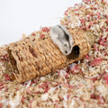 Niteangel Creative & Composable Hamster Tunnel: Edible Water Hyacinth & DIY