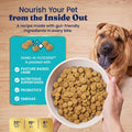Solid Gold Lamb Dry Dog Food for Adult & Senior Dogs, Probiotics, 24LB