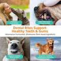 Zesty Paws Clean Breath Dental Chews for Dogs - Peppermint, 120 Ct