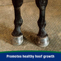 Farnam Horseshoer's Secret Pelleted Hoof & Biotin Supplements, Nutrient-Rich Formula with Amino & Fatty Acids, Omega-3 M
