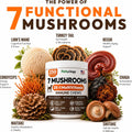 Turkey Tail Mushroom for Dogs - 250 Chews - Lion’s Mane - Shiitake - Reishi - Buddy Immune Support Guard - Lipoma Mushroom Supplement for Dogs Lumps and Bumps Glucosamine, Health Vitamins Multivitamin