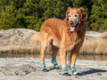All Weather Neoprene Paw Protector Dog Boots with Reflective Straps in 5 Sizes!