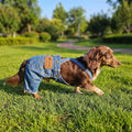 FLAdorepet Classic Dog Denim Jumpsuit Overalls,Dog Pet Cat Jeans Pants Clothes,Puppy Cowboy Costumes Outfits for Chihuahua Yorkie Dachshund (Dark Blue, Large)