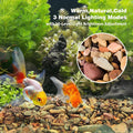 WDEFUN Aquarium Gravel River Rock, Natural Polished Mixed Colorful Stones, 10 LBS, for Plant Aquariums, Landscaping, Vas