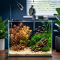 3.3 Gallon Small Fish Tank Glass Aquarium Complete Kit for Betta Fish