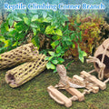 kathson 6" Resin Cholla Wood, Aquarium Shrimp Hideout (3PCS)