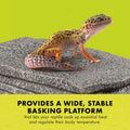 Zilla Herp Hotel Naturalistic Hide, Bearded Dragon Basking Platform