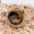 Niteangel Creative & Composable Hamster Tunnel: Edible Water Hyacinth & DIY