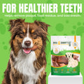 Dog Treats - Pig Ears, Natural Chews for Pups (10 Pack, Pig Ears)