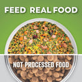 Dr. Harvey's Beef & Garden Veggies Dog Food, Grain-Free (5 lb)