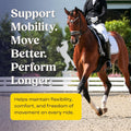 Summit Equine Joint & Mobility Bites Daily Supplement for Horses, Liposomal Delivery, Max Absorption, Vet Recommended, A