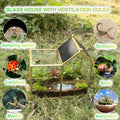 Ready-to-Use Glass Terrarium with Vents - 8.66"x4.72"x8.46" House-Shaped Jumping Spider Enclosure, Habitat for Praying M