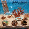 Hermit Crab Climbing Toy, Reptile Habitat Decor Exercise Playground Hermit Crab Accessories for Tank and Aquarium Decora