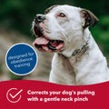 Coastal Pet Herm Sprenger Prong Collar, Chrome, 2.25 mm x 14"–16"