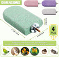 4 PCS Bird Beak Grinding Stone Pumice Lava Ledge