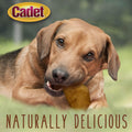 Cadet Premium Grade Beef Hide Chips Dog Chews, 1 lb, Peanut Butter Flavor