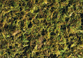 Exo Terra Forest Plume Moss, 7 Quarts, 2-Pack