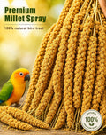TINYFIELD Millet Spray for Birds, Parakeet Budgie Cockatiel Parrot Treats Snacks (0.5 Pound)