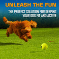Nerf Dog Tennis Ball Blaster Dog Toy Gift Set, Tennis Ball Dog Fetch Toy Launches up to 50 ft, Dog Ball Thrower for All Breeds Includes Green Tennis Ball Launcher and 3 Dog Tennis Balls