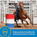 Farnam Fluidflex Glucosamine Joint Supplement for Horses, 32 oz., 32 Day Supply