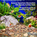 WDEFUN Aquarium Gravel River Rock, Natural Polished Mixed Colorful Stones, 10 LBS, for Plant Aquariums, Landscaping, Vas