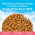 Purina ONE LiveClear Allergen-Reducing Dry Kitten Food, 5 lb Bag
