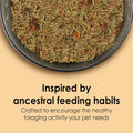 Kaytee Food from the Wild Chinchilla (Chinchilla Food), 3 Pounds