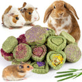 Sofier 20Pcs Timothy Hay Treats - Natural Chews for Teeth - Handmade Rabbit, Chinchilla, Gerbil, Rat, Hamster Toys - Bun
