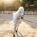 BARN & STABLE Breathable and UV Protective Tear-Resistant Mesh Horse Fly Sheet Comfy Equine Summer Sheet with Removable 