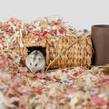Niteangel Creative & Composable Hamster Tunnel: Edible Water Hyacinth & DIY