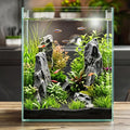 2.16 Gallon Glass Fish Tank, Low Maintenance Small Aquarium for Betta Fish, Snails, Shrimp & Aquatic Plants