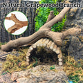 VCEPJH Snake Climbing Branch, 2Pcs Reptile Wood Natural Cork Log and Cork Bark for Reptiles, 4 Pcs Natural Cork Flats fo