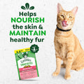 Greenies Cat Treats, Feline Smartbites, Skin & Fur Health, Crunchy and Soft Cat Treats, Salmon Flavor, 4.6 oz. Pack