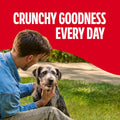 Milk-Bone Original Biscuits Medium Dog Treats, 24 Oz.