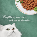 Fancy Feast Purina Medleys Primavera Style with White Meat Chicken and Accents of Tomato, Carrot and Spinach - 6.5 lb. B