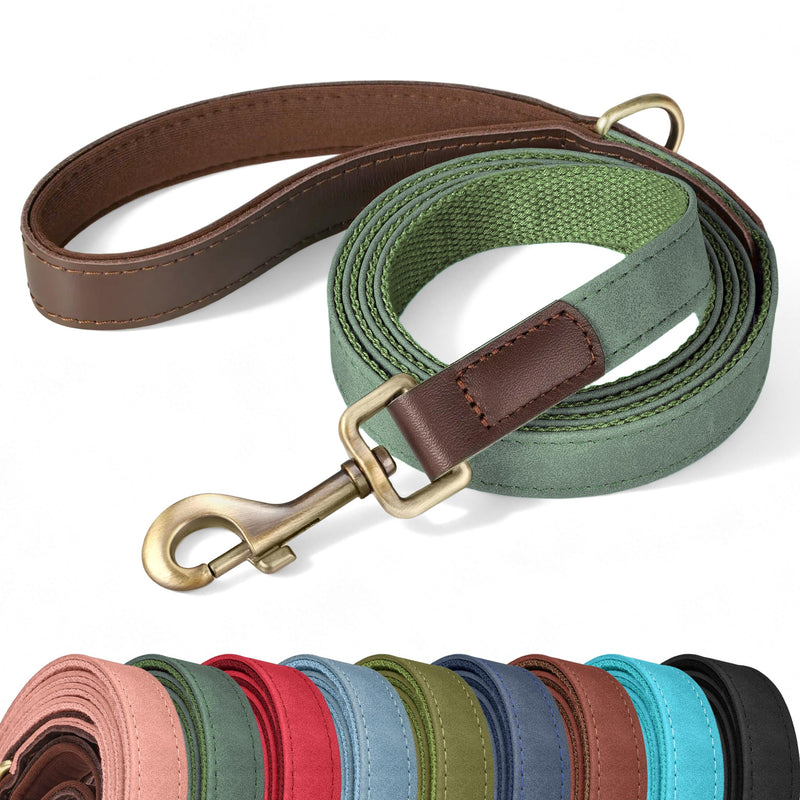 Didog PU Leather Dog Leash for Small Dogs 4.5ft, Soft Padded Handle Dog Leashes for Medium Size, Walking and Training Leashes Faux Leather for Large Pet,Green