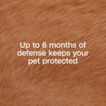 ADAMS Flea & Tick Collar Plus for Dogs, Prevent flea infestations, 2 ct