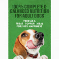 Purina Moist and Meaty with Real Chicken Recipe Soft Dog Food Pouches - 36 ct. Box