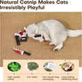 Potaroma 4Pcs Cat Toys, Horror Halloween Knife-Shaped Kitten Catnip Crinkly Sound Toys, Indoor Exercise for All Cat Breeds 6.5 Inches